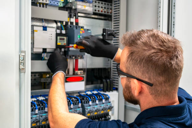 Best Electric Panel Repair  in Bonifay, FL